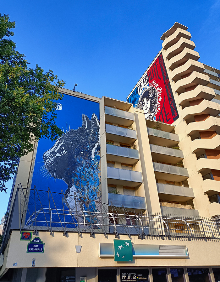 Street art in Rue Nationale
