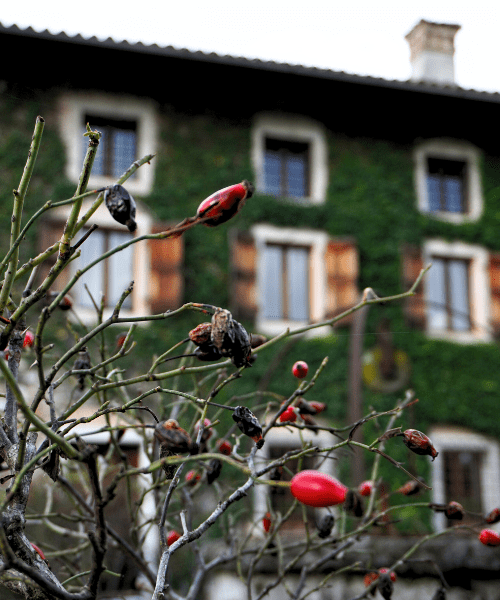 La Brunelde Fagagna a Castelli Aperti